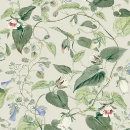  York Blooms Second Edition Resource Library BL1713