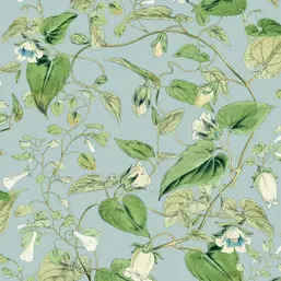  York Blooms Second Edition Resource Library BL1714
