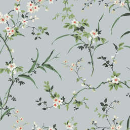  York Blooms Second Edition Resource Library BL1743