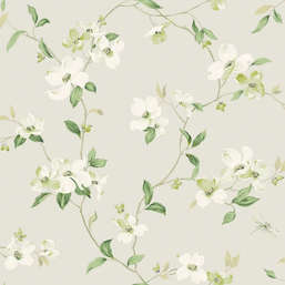  York Blooms Second Edition Resource Library BL1762