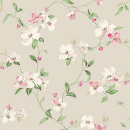  York Blooms Second Edition Resource Library BL1763
