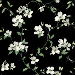  York Blooms Second Edition Resource Library BL1764