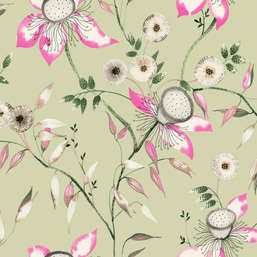  York Blooms Second Edition Resource Library BL1791