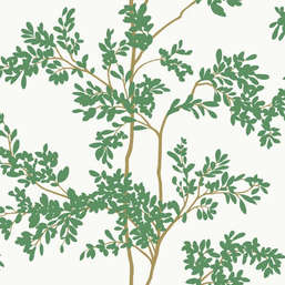  York Blooms Second Edition Resource Library BL1801