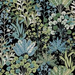  York Blooms Second Edition Resource Library BL1811