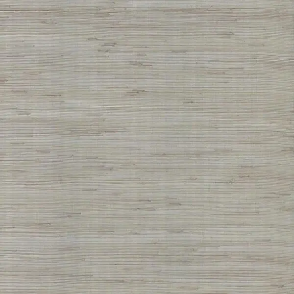  York Candice Olson Modern Nature II OS4322 -  1