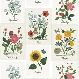 York Rifle Paper Co. Second Edition RP7334
