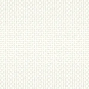  York Rifle Paper Co. Second Edition RP7364 -  1