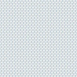  York Rifle Paper Co. Second Edition RP7365 -  1