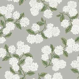  York Rifle Paper Co RI5144
