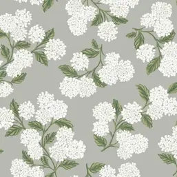  York Rifle Paper Co RI5144