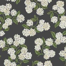  York Rifle Paper Co RI5146