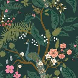  York Rifle Paper Co RI5168