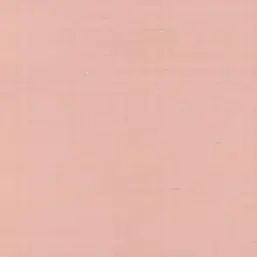  York Rifle Paper Co RI5183