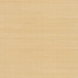  York Rifle Paper Co RI5185 -  1