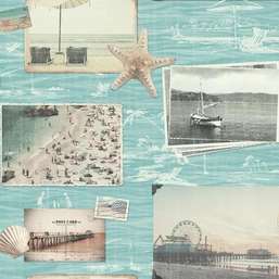  York Snapshots VN0450
