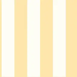  York Stripes Resource Library SA9178