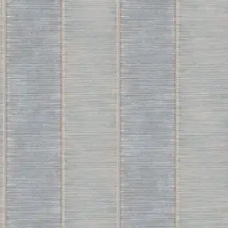  York Stripes Resource Library SR1527