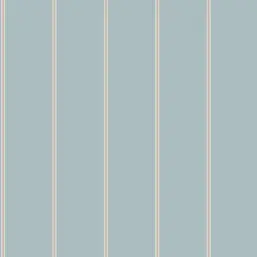  York Stripes Resource Library SR1543