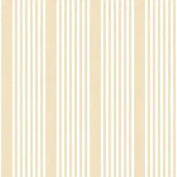  York Stripes Resource Library SR1585