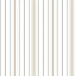  York Stripes Resource Library sr1622