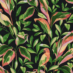  York Tropics Resource Library TC2651