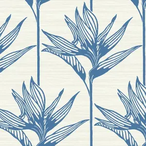  York Tropics Resource Library TC2671 -  1