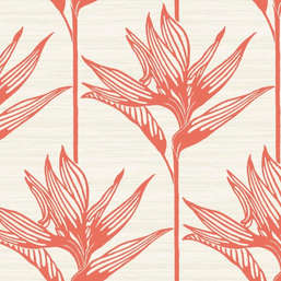  York Tropics Resource Library TC2676