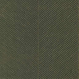  York Tropics Resource Library TC2693