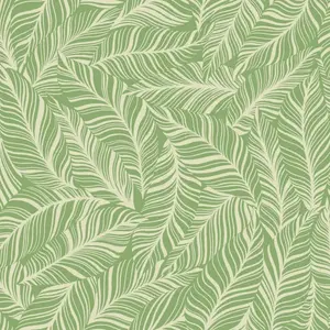  York Tropics Resource Library TC2717 -  1