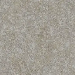  Zambaiti Parati Academia Z10902
