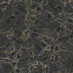 ���� Zambaiti Parati Philipp Plein 2  Z81002