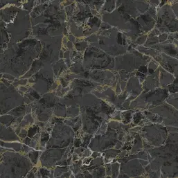  Zambaiti Parati Philipp Plein 2  Z81002