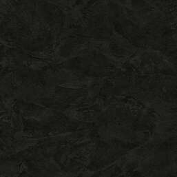 ���� Zambaiti Parati Philipp Plein 2  Z81003