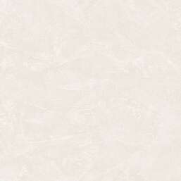 ���� Zambaiti Parati Philipp Plein 2  Z81004