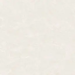  Zambaiti Parati Philipp Plein 2  Z81004