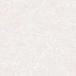 ���� Zambaiti Parati Philipp Plein 2  Z81006