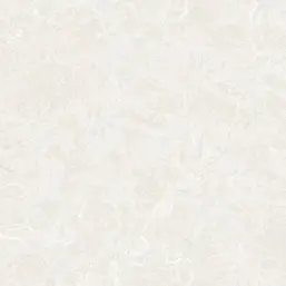  Zambaiti Parati Philipp Plein 2  Z81006