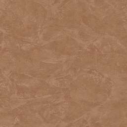 ���� Zambaiti Parati Philipp Plein 2  Z81007