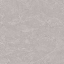 ���� Zambaiti Parati Philipp Plein 2  Z81010