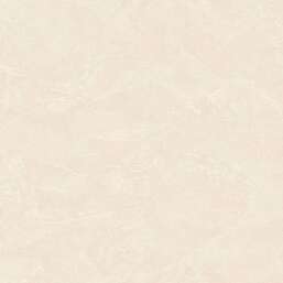 ���� Zambaiti Parati Philipp Plein 2  Z81011