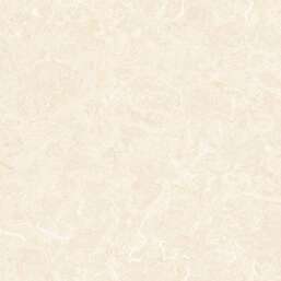 ���� Zambaiti Parati Philipp Plein 2  Z81013