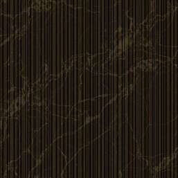 ���� Zambaiti Parati Philipp Plein 2  Z81015