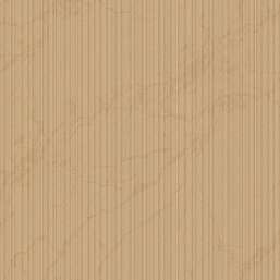 ���� Zambaiti Parati Philipp Plein 2  Z81016