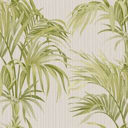 ���� Zambaiti Parati Philipp Plein 2  Z81019