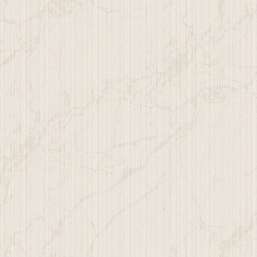 ���� Zambaiti Parati Philipp Plein 2  Z81020