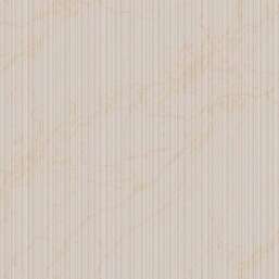 ���� Zambaiti Parati Philipp Plein 2  Z81021