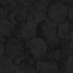 ���� Zambaiti Parati Philipp Plein 2  Z81025