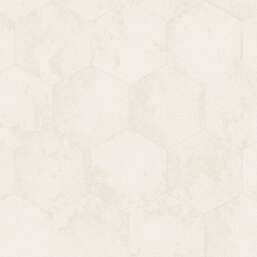 ���� Zambaiti Parati Philipp Plein 2  Z81026