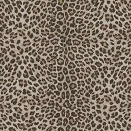 ���� Zambaiti Parati Philipp Plein 2  Z81028